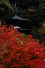 錦の多宝塔　2
