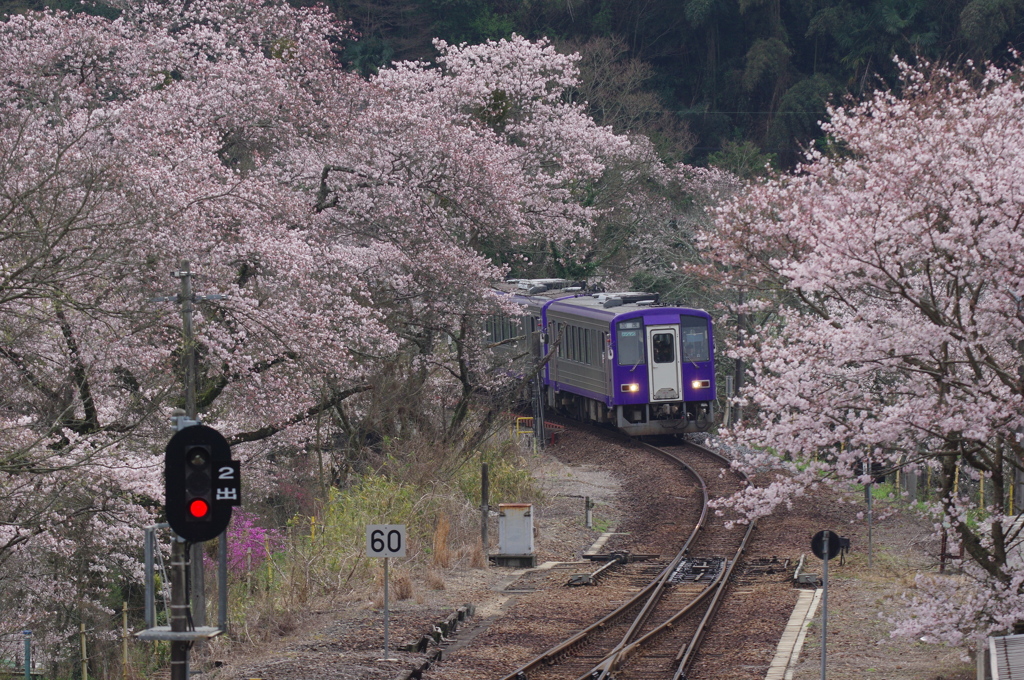 さくらの駅　笠置 Ⅰ