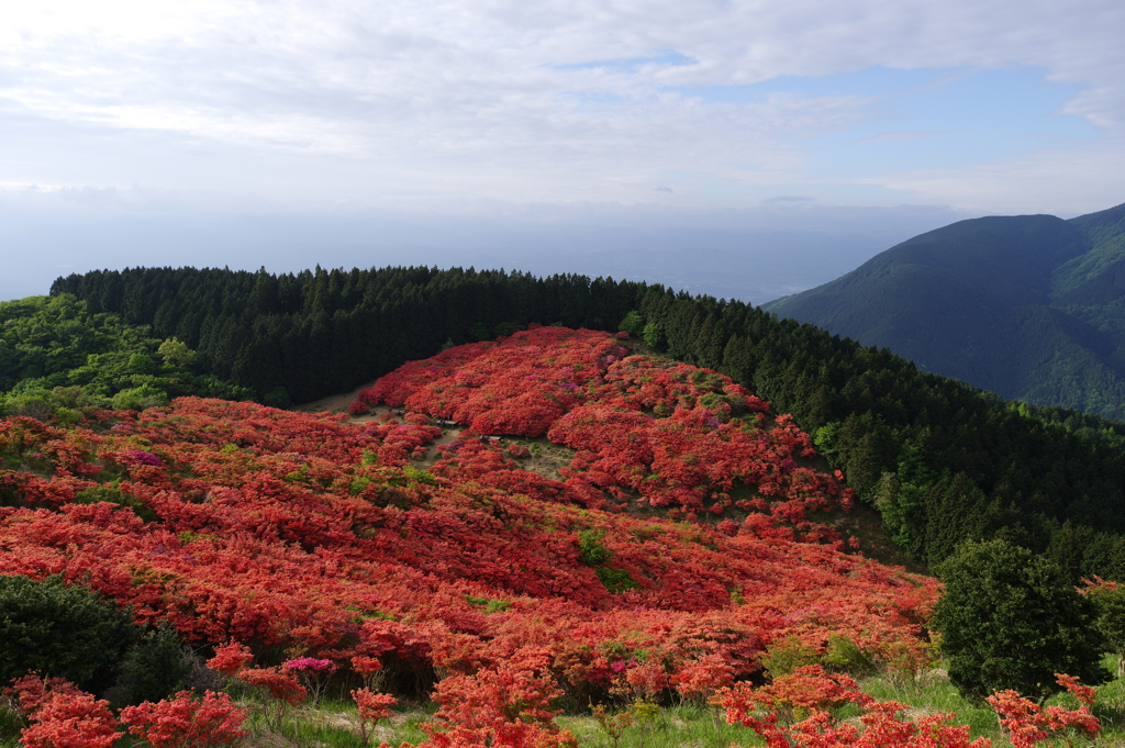 真っ赤な山頂