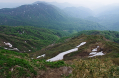 自然の庭園　　/  白山の登山道
