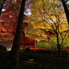 紅と黄