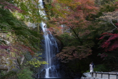 滝道のご褒美