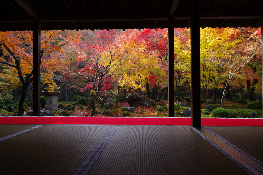 圓光寺、雨のあと Ⅱ