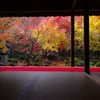 圓光寺、雨のあと Ⅱ