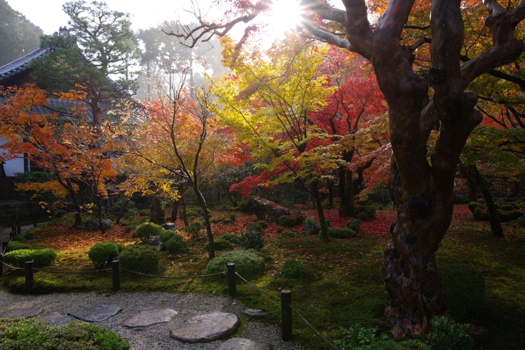 圓光寺の朝