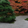和の美