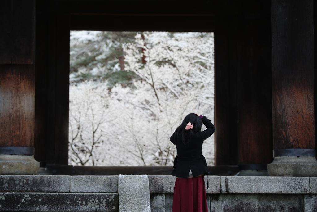 雪の日の翌朝