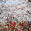 春のよそおい