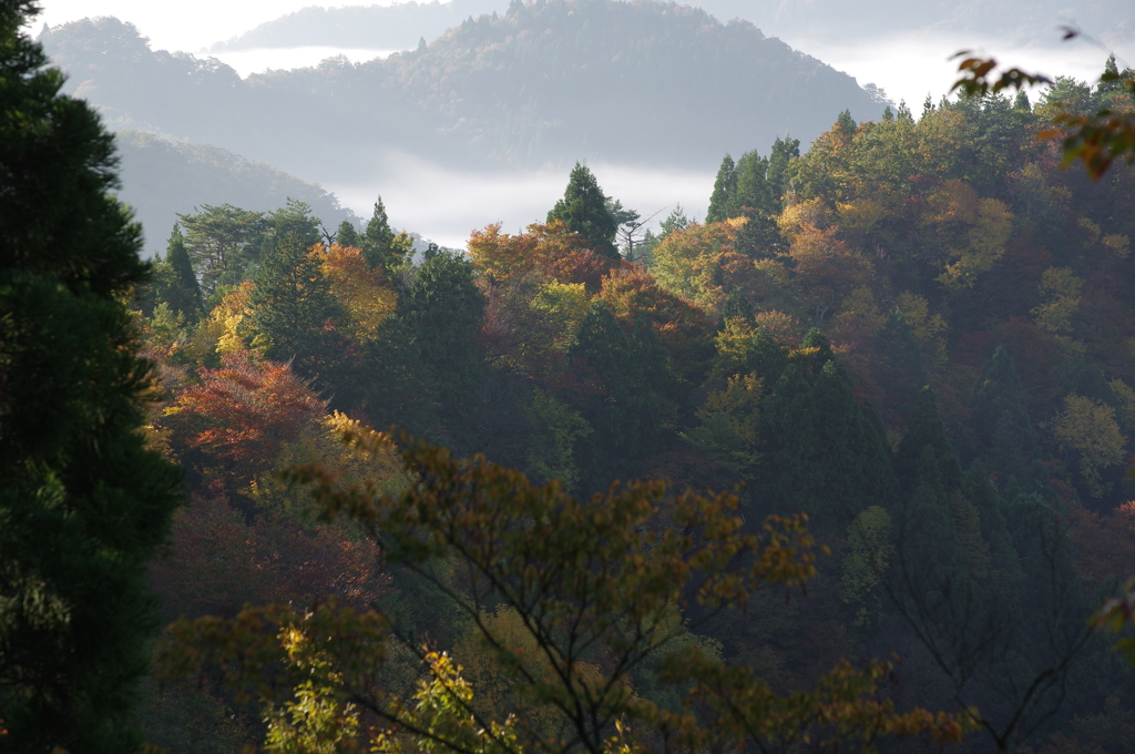 根来坂の光彩