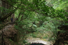 赤目四十八滝②