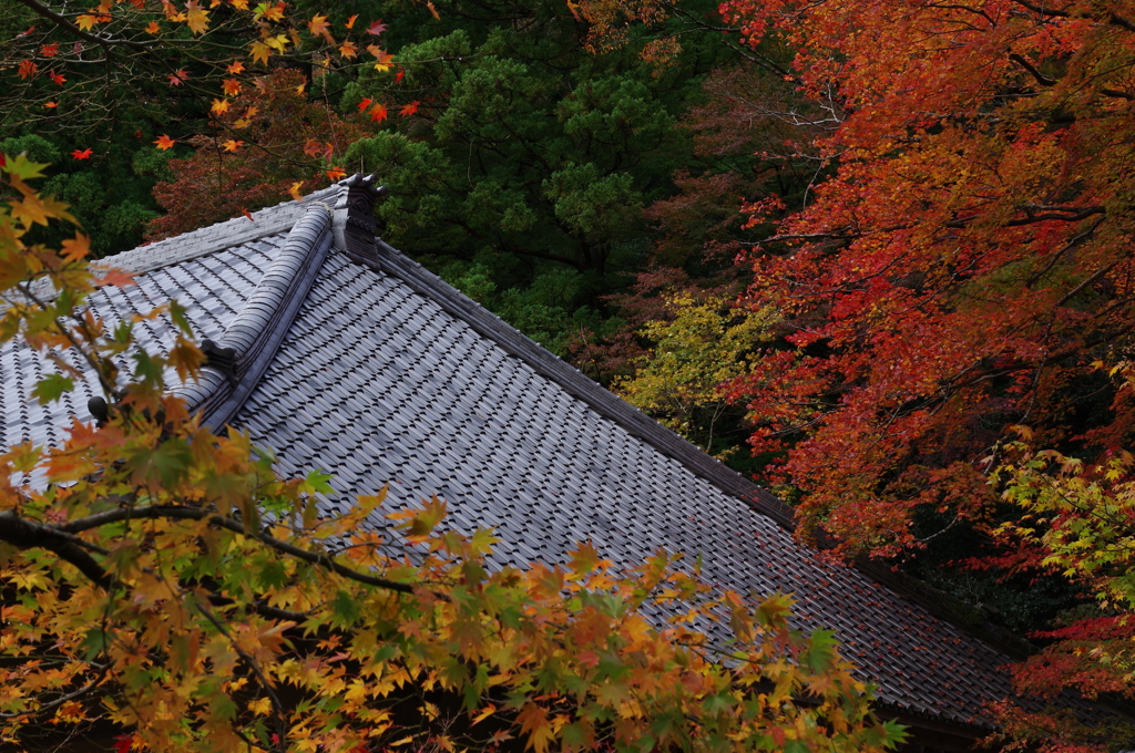 錦秋、山寺に迫る