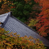 錦秋、山寺に迫る