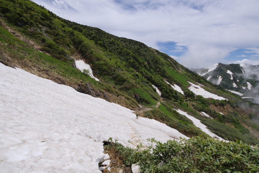 6月の白山