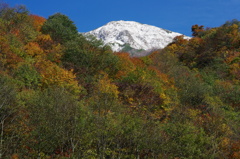 IMGP1284