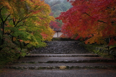 静寂の嵯峨野 Ⅱ