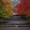 静寂の嵯峨野 Ⅱ