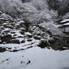 京北、雪の古寺 Ⅱ