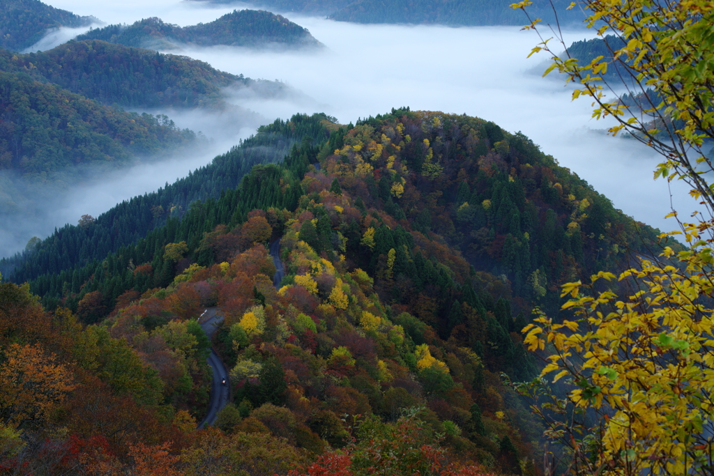 根来坂と雲海