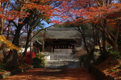 紅を待ちわびて