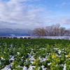 雪空、晴れて　Ⅱ