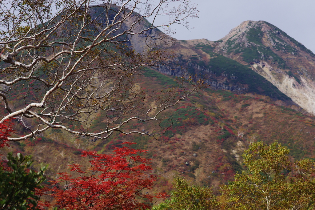 白山 / 秋の平瀬道から