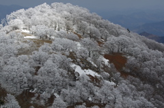 光と霧氷の舞台