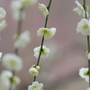 好み
