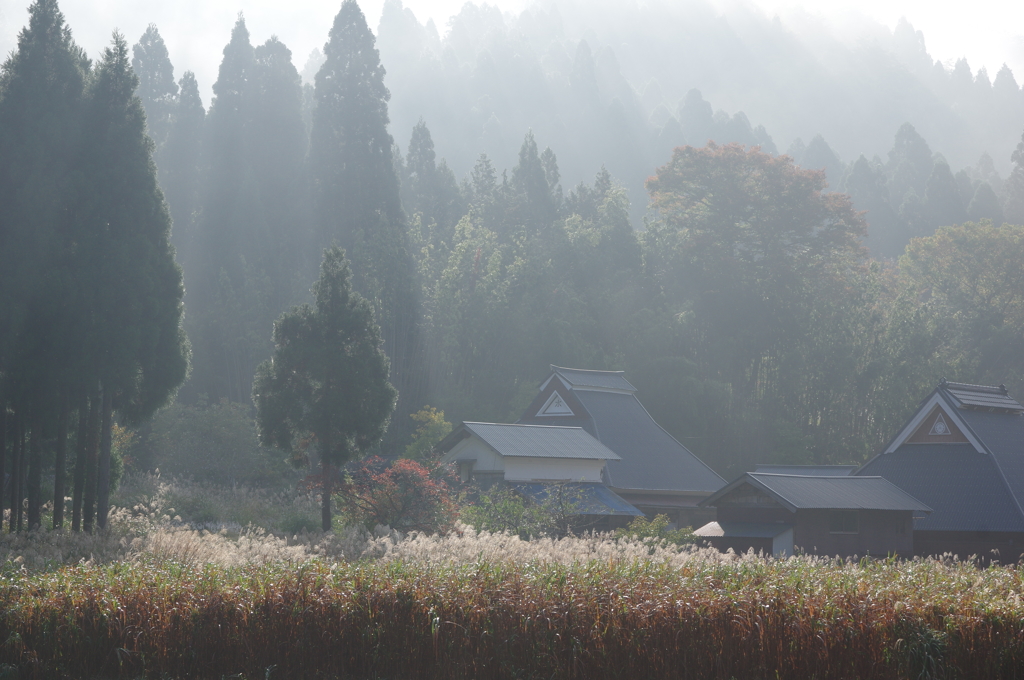 朝霧が晴れる時　Ⅱ