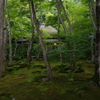 祇王寺、幽玄