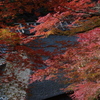 紅に彩られて