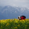菜の花に魅せられて