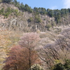 圧巻