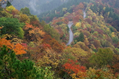 秋時雨の小入峠