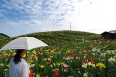 ゆりの楽園