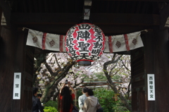 西陣の華