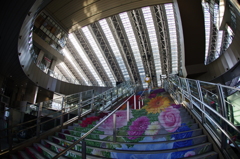 Kｰ1 with　DA FISH-EYE 10-17mmF3