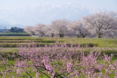 春の風景