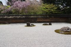 石庭の春