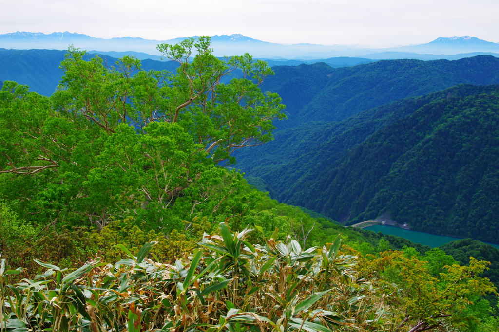 全部見え！　/ 槍・穂高・乗鞍・御嶽山