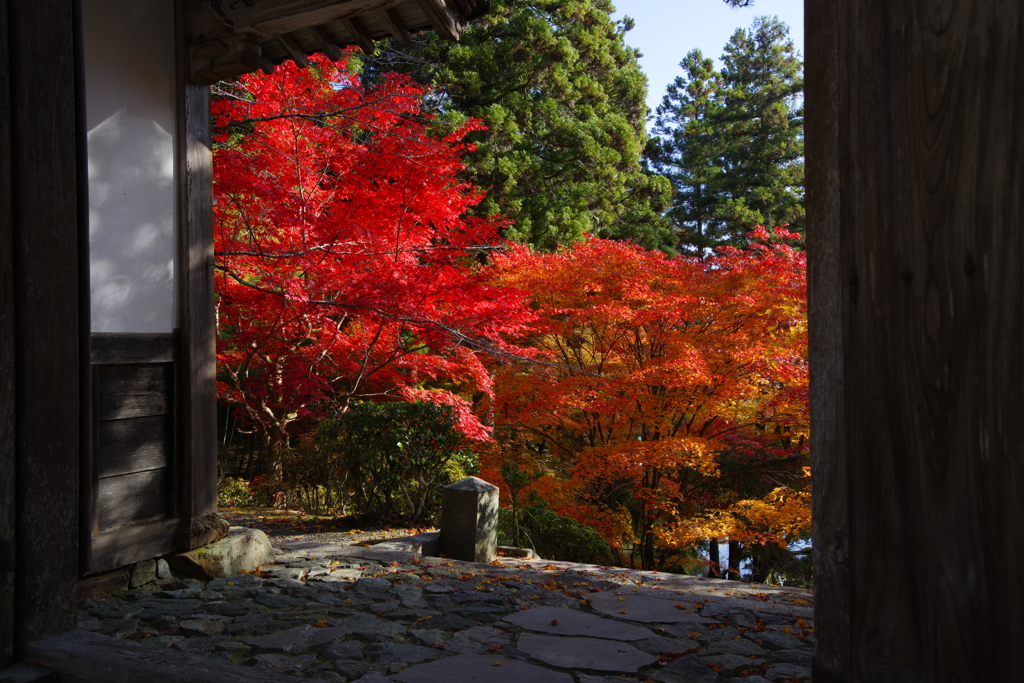 紅葉の門