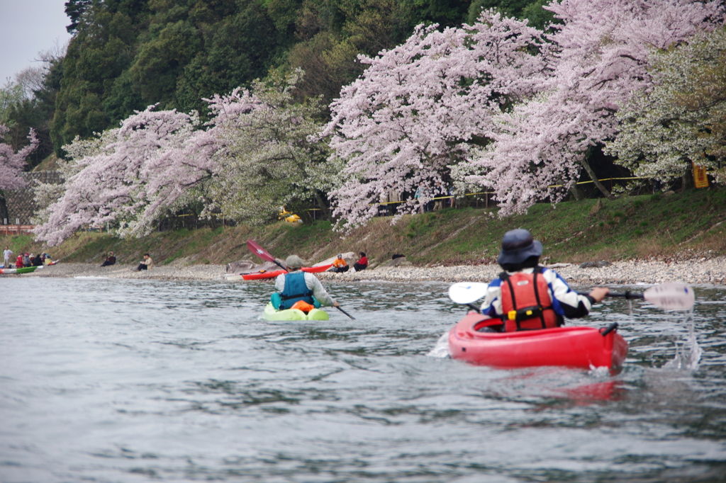 2012お花見カヌー