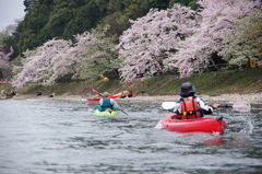 2012お花見カヌー