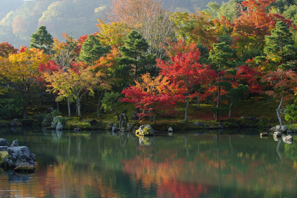 天龍寺の秋