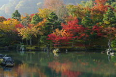 天龍寺の秋