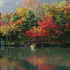 天龍寺の秋