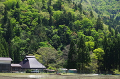 新緑の山に抱かれて