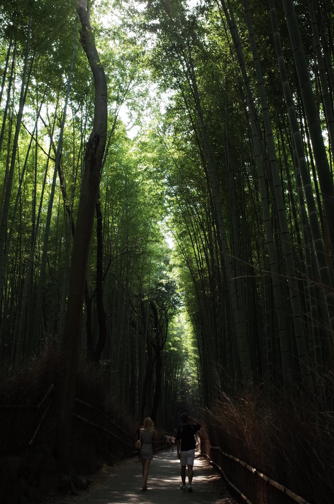 嵯峨野
