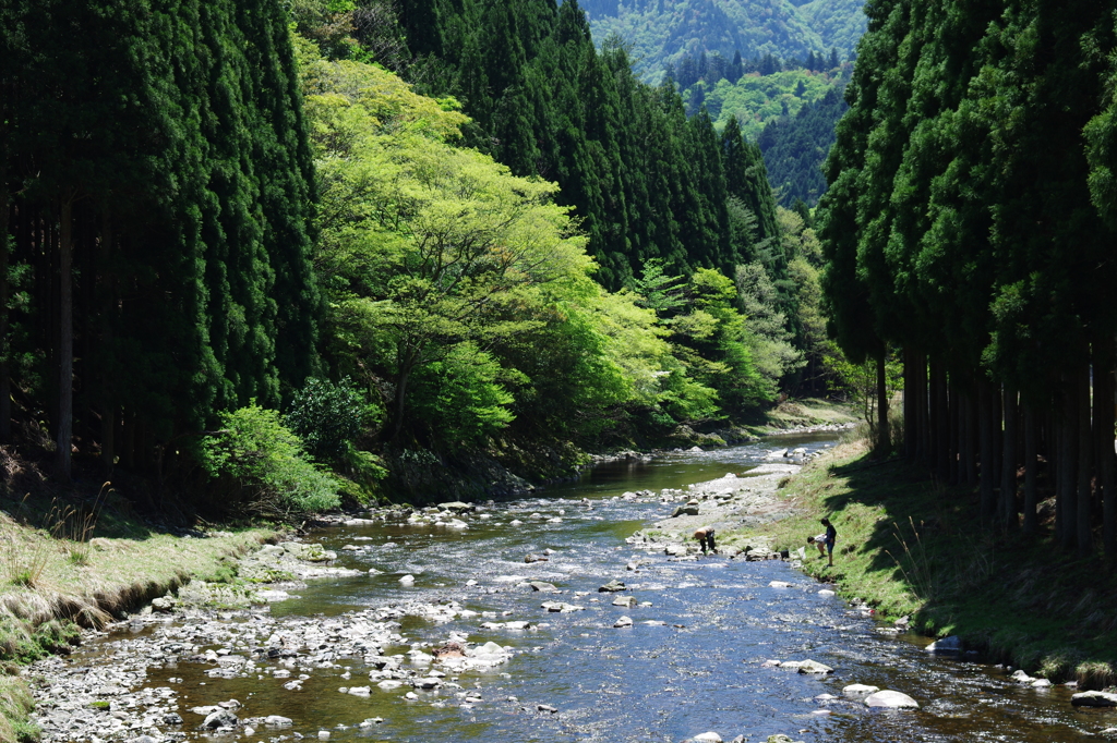 ふるさとの川