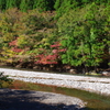 御池川