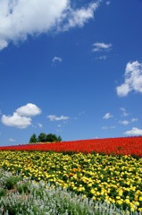 夏色